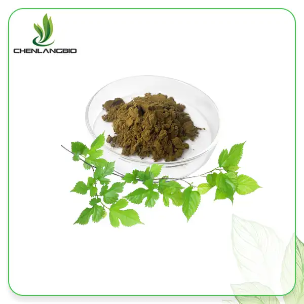 Mulberry Leaf Extract Powder